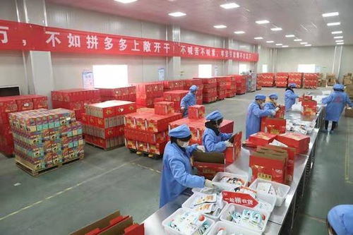 拼多多助力農貨文旅破圈出川 四川脫貧攻堅的數字化探索